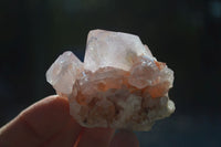 Natural Spirit Amethyst Quartz Clusters  x 12 From Boekenhouthoek, South Africa - Toprock Gemstones and Minerals