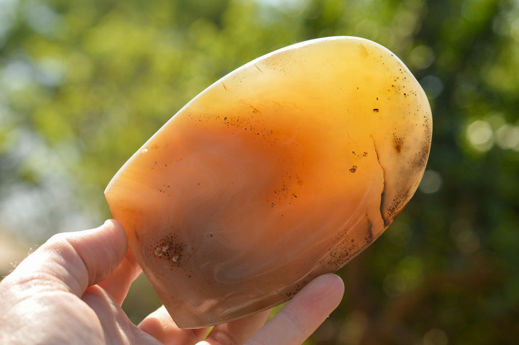 Polished Banded Dendritic Agate Standing Free Forms x 3 From Moralambo, Madagascar - TopRock