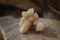Natural Mixed Spirit Quartz Specimens x 24 From Boekenhouthoek, South Africa - Toprock Gemstones and Minerals