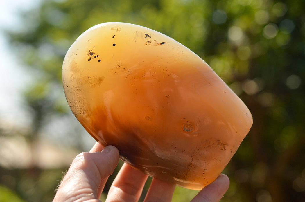 Polished Banded Dendritic Agate Standing Free Forms x 3 From Moralambo, Madagascar - TopRock