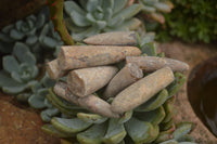 Natural Fossil Rostrums / Belenites Specimens  - Sold per 350 g - From Maintirano, Madagascar - TopRock