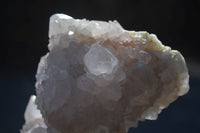 Natural Large White Cactus Flower Spirit Quartz Clusters  x 3 From Boekenhouthoek, South Africa - Toprock Gemstones and Minerals
