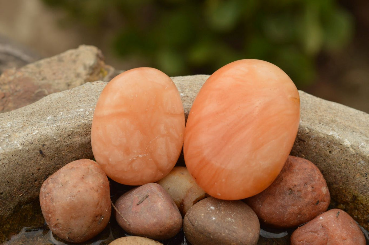 Polished Killer Bright Orange Twist Calcite Palm Stones x 12 From Madagascar - TopRock