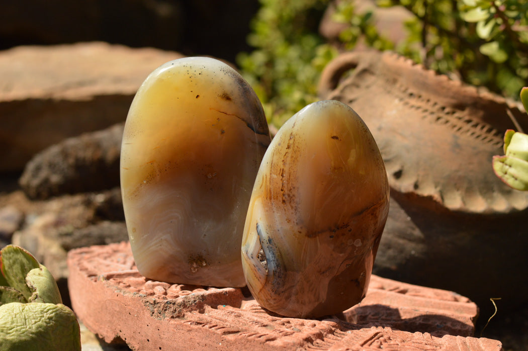 Polished Banded Dendritic Agate Standing Free Forms x 3 From Moralambo, Madagascar - TopRock
