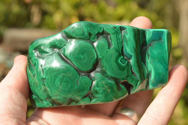 Polished Malachite Free Forms With Gorgeous Flower Patterns x 6 From Congo - TopRock