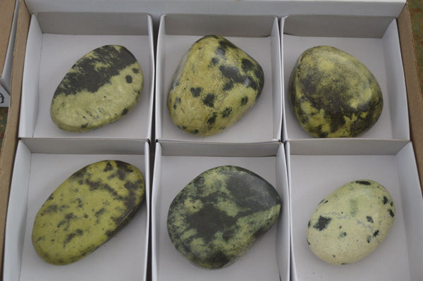 Polished Leopard Stone Gallets  x 6 From Zimbabwe - Toprock Gemstones and Minerals 