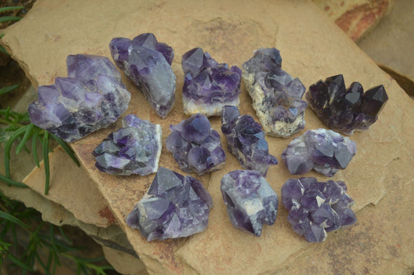 Natural Small Dark Purple Amethyst Clusters - Sold per 1.09 kg (12 clusters per tray) - From Mapatizya, Zambia - TopRock