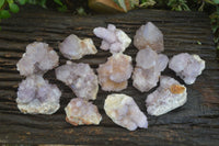 Natural Spirit Amethyst Cactus Quartz Clusters  x 12 From Boekenhouthoek, South Africa - Toprock Gemstones and Minerals