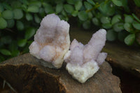Natural Spirit Amethyst Cactus Quartz Clusters  x 12 From Boekenhouthoek, South Africa - Toprock Gemstones and Minerals