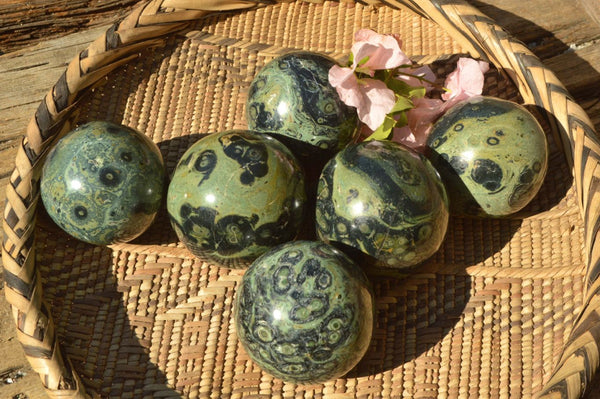 Polished Stromatolite / Kambaba Jasper Spheres x 6 From Madagascar - TopRock
