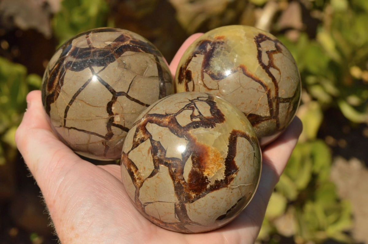 Polished Septerye (Calcite & Aragonite) Spheres x 4 From Mahajanga, Madagascar - TopRock