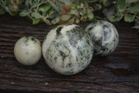 Polished Leopard Stone Spheres (Stone Sealed) x 3 From Zimbabwe - Toprock Gemstones and Minerals