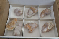 Natural Mixed Spirit Quartz Clusters x 7 From Boekenhouthoek, South Africa - Toprock Gemstones and Minerals