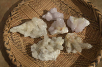Natural Spirit Quartz Clusters x 6 From Boekenhouthoek, South Africa - Toprock Gemstones and Minerals