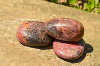 Polished Pink & Black Rhodonite Free Forms  x 6 From Rushinga, Zimbabwe - TopRock