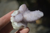 Natural Spirit Amethyst Cactus Quartz Clusters  x 12 From Boekenhouthoek, South Africa - Toprock Gemstones and Minerals