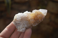 Natural Mixed Spirit Quartz Clusters x 7 From Boekenhouthoek, South Africa - Toprock Gemstones and Minerals