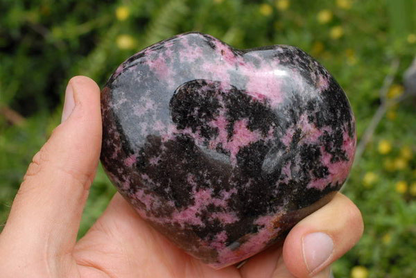 Polished Rhodonite Hearts x 2 From Ambindavato, Madagascar - TopRock