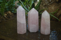 Polished Pink Rose Quartz Points  x 3 From Madagascar - Toprock Gemstones and Minerals