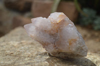 Natural Mixed Spirit Quartz Clusters x 7 From Boekenhouthoek, South Africa - Toprock Gemstones and Minerals