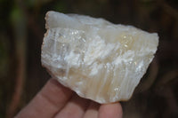Natural Rough Dendritic White Opal Specimens  x 24 From Namibia - Toprock Gemstones and Minerals
