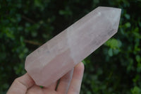 Polished Pink Rose Quartz Points  x 3 From Madagascar - Toprock Gemstones and Minerals
