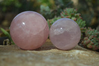 Polished Rare Star Rose Quartz Spheres x 3 From Ambatondrazaka, Madagascar - Toprock Gemstones and Minerals