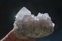 Natural Spirit Amethyst Cactus Quartz Clusters  x 12 From Boekenhouthoek, South Africa - Toprock Gemstones and Minerals