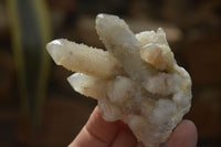 Natural Spirit Quartz Clusters x 6 From Boekenhouthoek, South Africa - Toprock Gemstones and Minerals