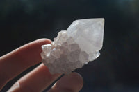 Natural White Cactus Flower Spirit Quartz Specimens  x 12 From Boekenhouthoek, South Africa - Toprock Gemstones and Minerals