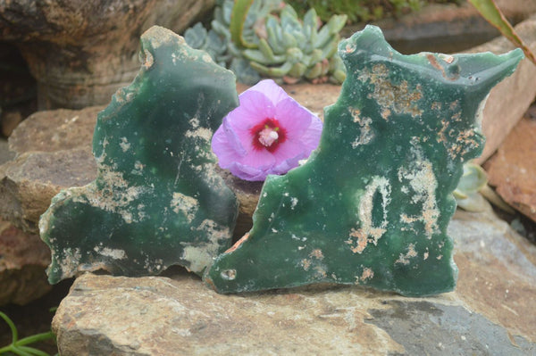Polished Emerald Mtorolite / Chrome Chrysoprase Plates  x 2 From Mutorashanga, Zimbabwe - TopRock