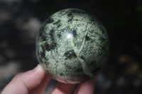 Polished Leopard Stone Spheres (Stone Sealed) x 3 From Zimbabwe - Toprock Gemstones and Minerals
