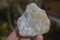 Natural Rough Dendritic White Opal Specimens  x 24 From Namibia - Toprock Gemstones and Minerals