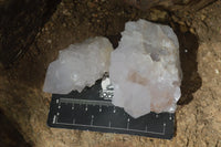 Natural White Cactus Flower Spirit Quartz Specimens  x 12 From Boekenhouthoek, South Africa - Toprock Gemstones and Minerals