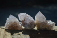 Natural Spirit Amethyst Cactus Quartz Clusters  x 12 From Boekenhouthoek, South Africa - Toprock Gemstones and Minerals