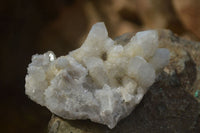 Natural Spirit Quartz Clusters x 6 From Boekenhouthoek, South Africa - Toprock Gemstones and Minerals