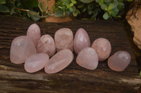 Polished Gemmy Pink Rose Quartz Standing Free Forms x 12 From Madagascar - Toprock Gemstones and Minerals