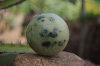 Polished Leopard Stone Spheres (Stone Sealed) x 3 From Zimbabwe - Toprock Gemstones and Minerals