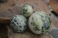 Polished Leopard Stone Spheres (Stone Sealed) x 3 From Zimbabwe - Toprock Gemstones and Minerals