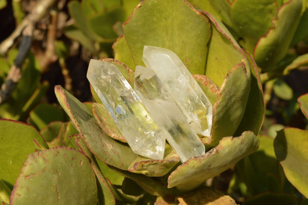 Polished Semi Optic Quartz Points x 24 From Madagascar - TopRock