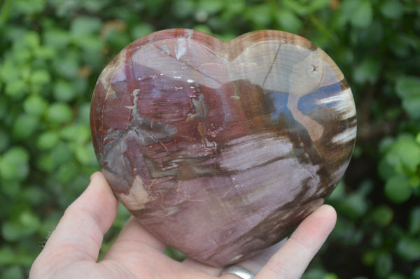 Polished Petrified Red Podocarpus Wood Hearts x 2 From Madagascar - Toprock Gemstones and Minerals 