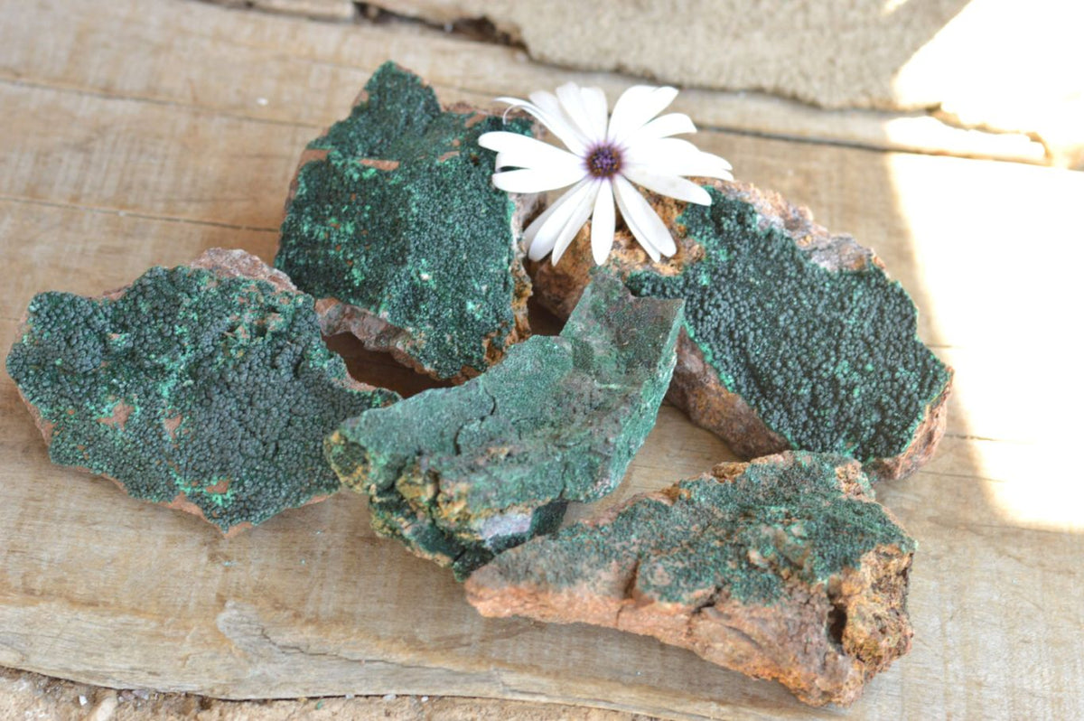 Natural Micro Botryoidal Malachite Specimens x 5 From Congo - TopRock