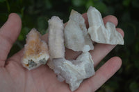 Natural Small Mixed Spirit Quartz Specimens  x 35 From Boekenhouthoek, South Africa - Toprock Gemstones and Minerals