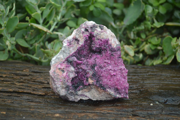 Natural Extra Large Deep Pink Salrose With Black Heterogonite  x 1 From Kakanda, Congo - Toprock Gemstones and Minerals 