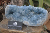 Natural Blue Celestite Geode Specimen  x 1 From Sakoany, Madagascar - Toprock Gemstones and Minerals