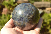 Polished Iolite Water Sapphire Spheres x 2 From Madagascar - TopRock