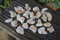 Natural Mixed Spirit Quartz Crystals x 70 From Boekenhouthoek, South Africa - Toprock Gemstones and Minerals