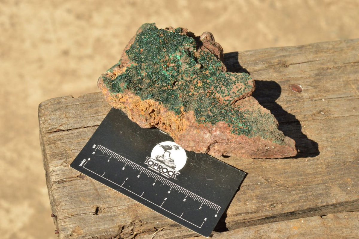 Natural Micro Botryoidal Malachite Specimens x 5 From Congo - TopRock