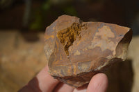 Natural Rough Nguni Jasper Cobbed Specimens  x 25 From Northern Cape, South Africa - Toprock Gemstones and Minerals