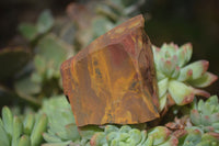 Natural Rough Nguni Jasper Cobbed Specimens  x 25 From Northern Cape, South Africa - Toprock Gemstones and Minerals
